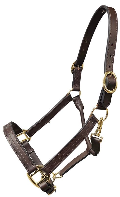 Griffith Leather Halter - The Tack Shoppe