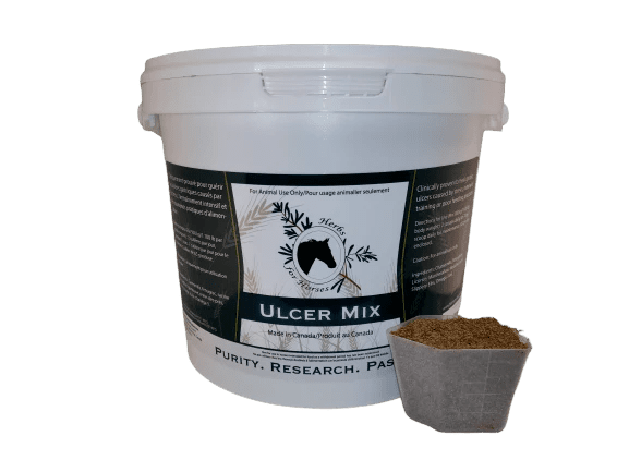 Herbs for Horses Ulcer Mix - The Tack Shoppe