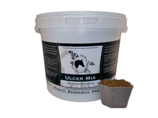 Herbs for Horses Ulcer Mix - The Tack Shoppe