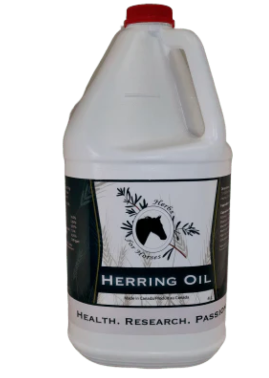 Herbs For Horses - Herring Oil (Omega 3) - 4 L liquid