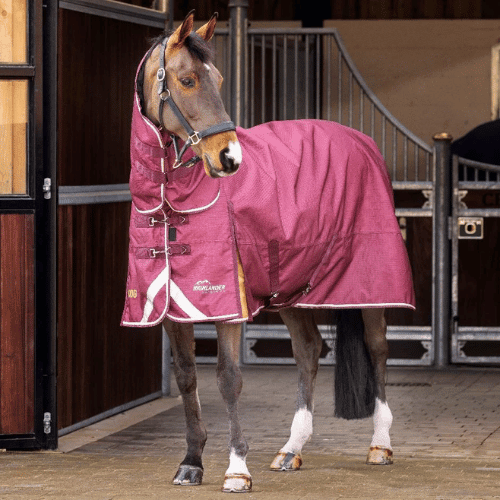Highlander Plus 100 Combo Turnout Rug - The Tack Shoppe