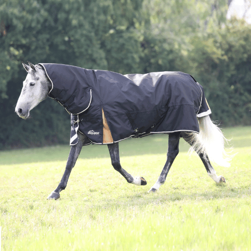 Highlander Plus 200 Combo Turnout Rug - The Tack Shoppe