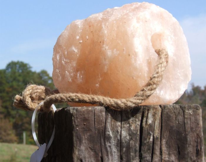 Himalayan Rock Salt - on a rope - The Tack Shoppe