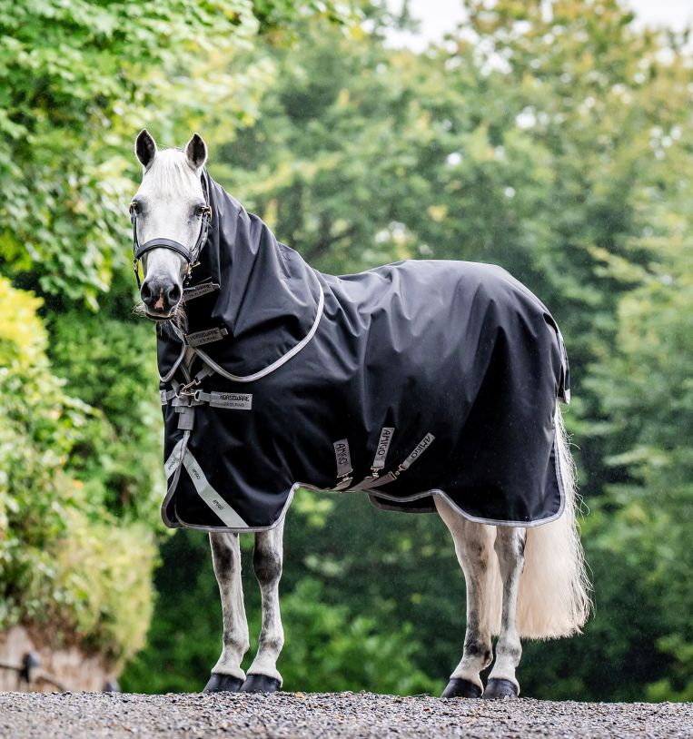 Horseware Amigo Bravo 12 Plus Turnout (250g Medium) - The Tack Shoppe