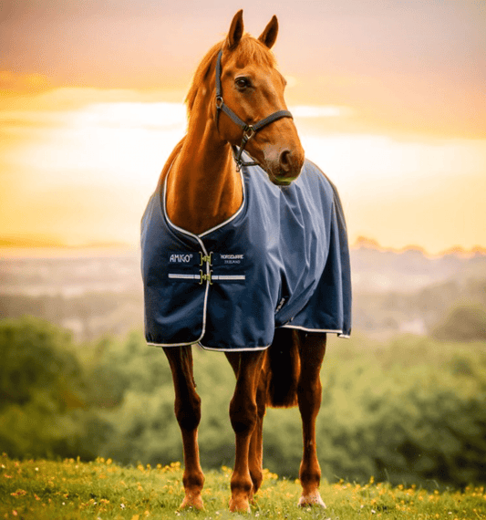 Horseware Amigo Ripstop 900D Pony Turnout 0g - The Tack Shoppe