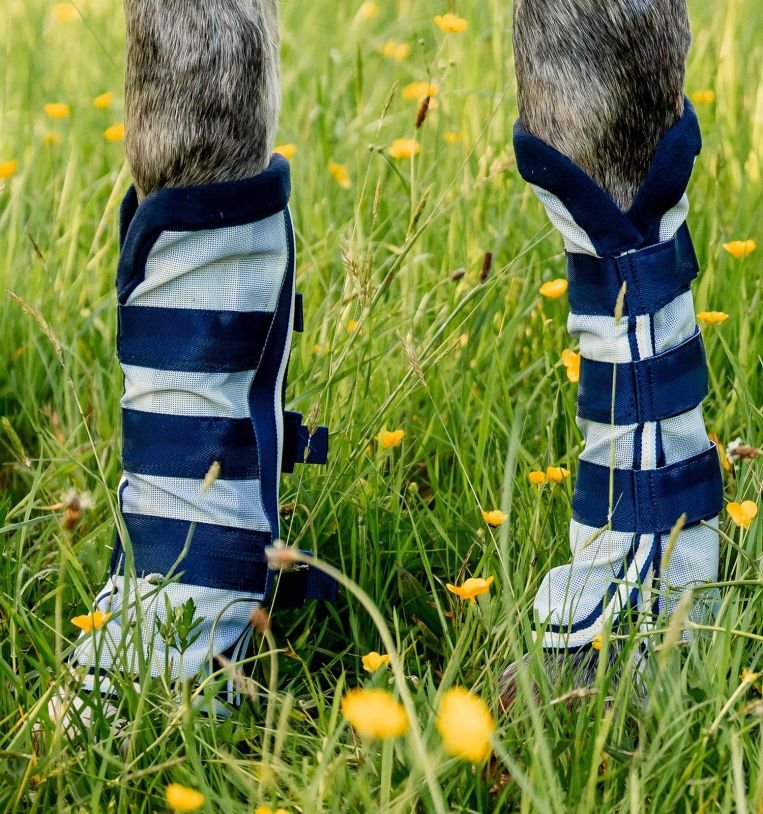 Horseware® Newmarket Fly Boots - The Tack Shoppe