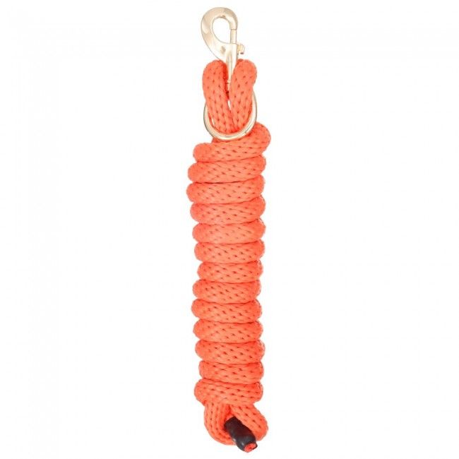 Poly Lead with Replaceable Bolt Snap - The Tack Shoppe