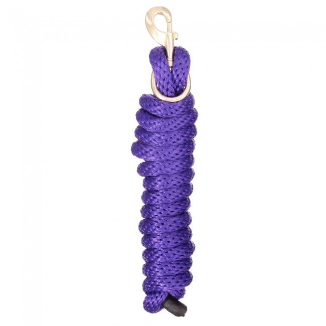 Poly Lead with Replaceable Bolt Snap - The Tack Shoppe