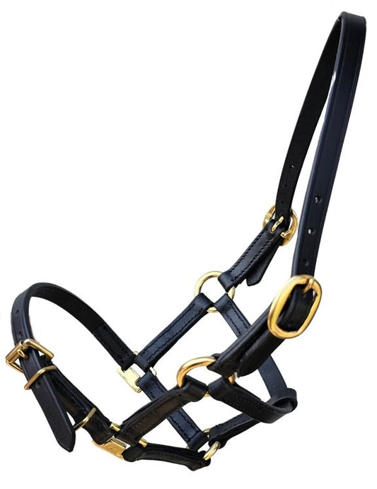 Sage Family Baby Mini Leather Halter - The Tack Shoppe