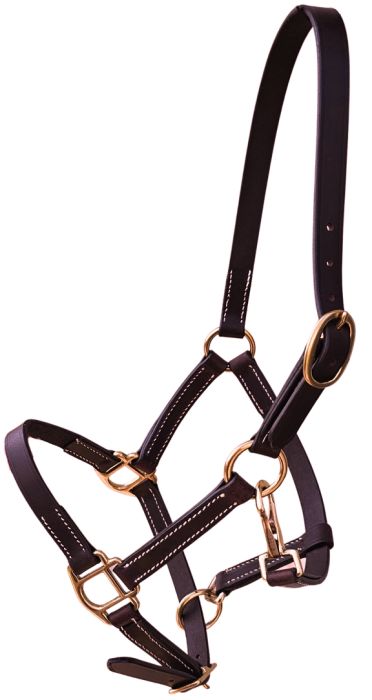 Sage Family Leather Mini or Foal Halter with Brass Hardware - The Tack Shoppe