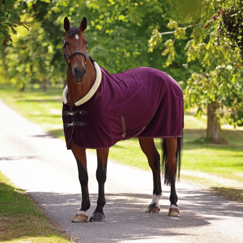 Shires Deluxe Fleece Cooler - The Tack Shoppe