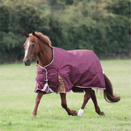 Shires Highlander Plus 100 Standard Neck - The Tack Shoppe