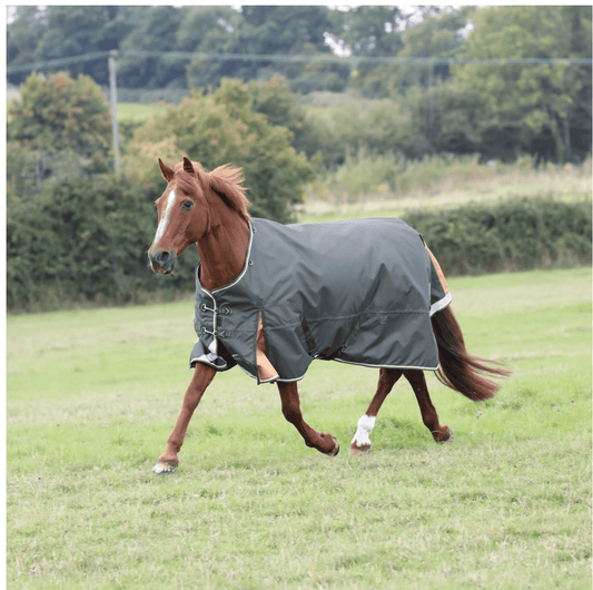 Shires Highlander Plus Lite Standard Neck - The Tack Shoppe