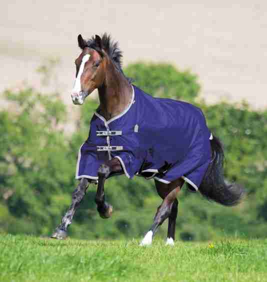 Shires Highlander Plus Lite Standard Neck - The Tack Shoppe