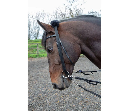 Shires Lunging Adapter - The Tack Shoppe