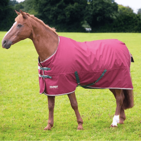 Shires Tempest 200g Turnout - Maroon - The Tack Shoppe