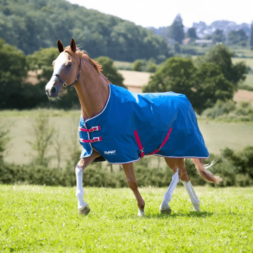 Shires Tempest Original Lite Turnout - The Tack Shoppe