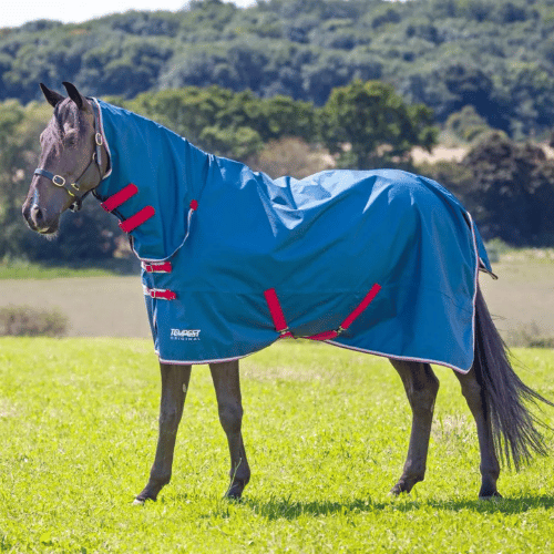 Shires Tempest Original Lite Turnout Combo - The Tack Shoppe