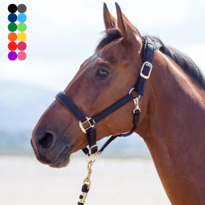 Shires Topaz Nylon Breakaway Halter - The Tack Shoppe
