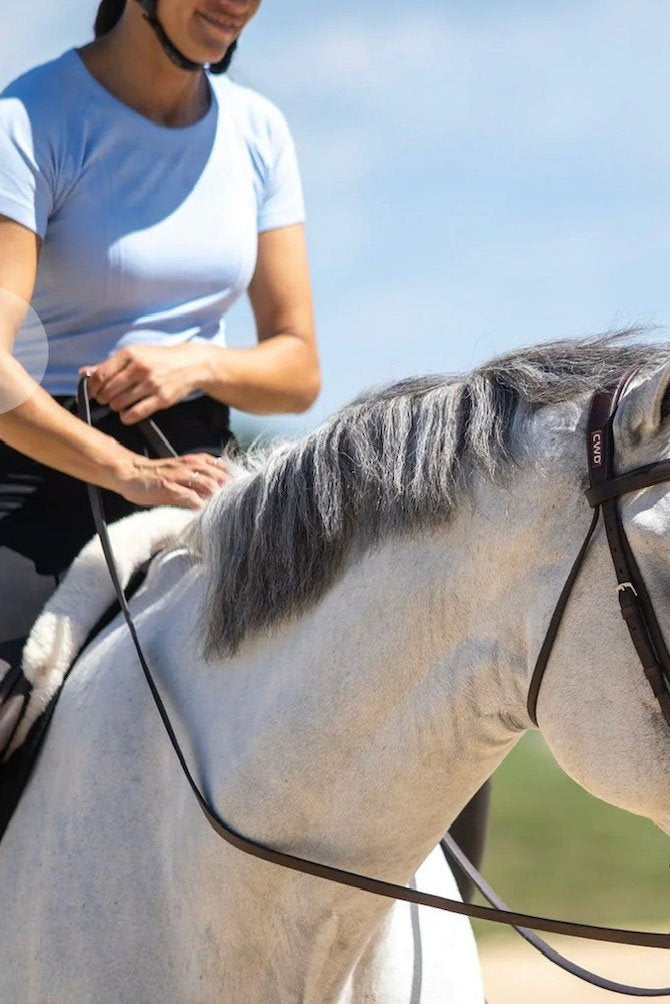 THE FIT EQ: Short Sleeve Seamless Schooling Top - Sky