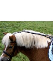 STAR Anti - Grazing Reins - The Tack Shoppe
