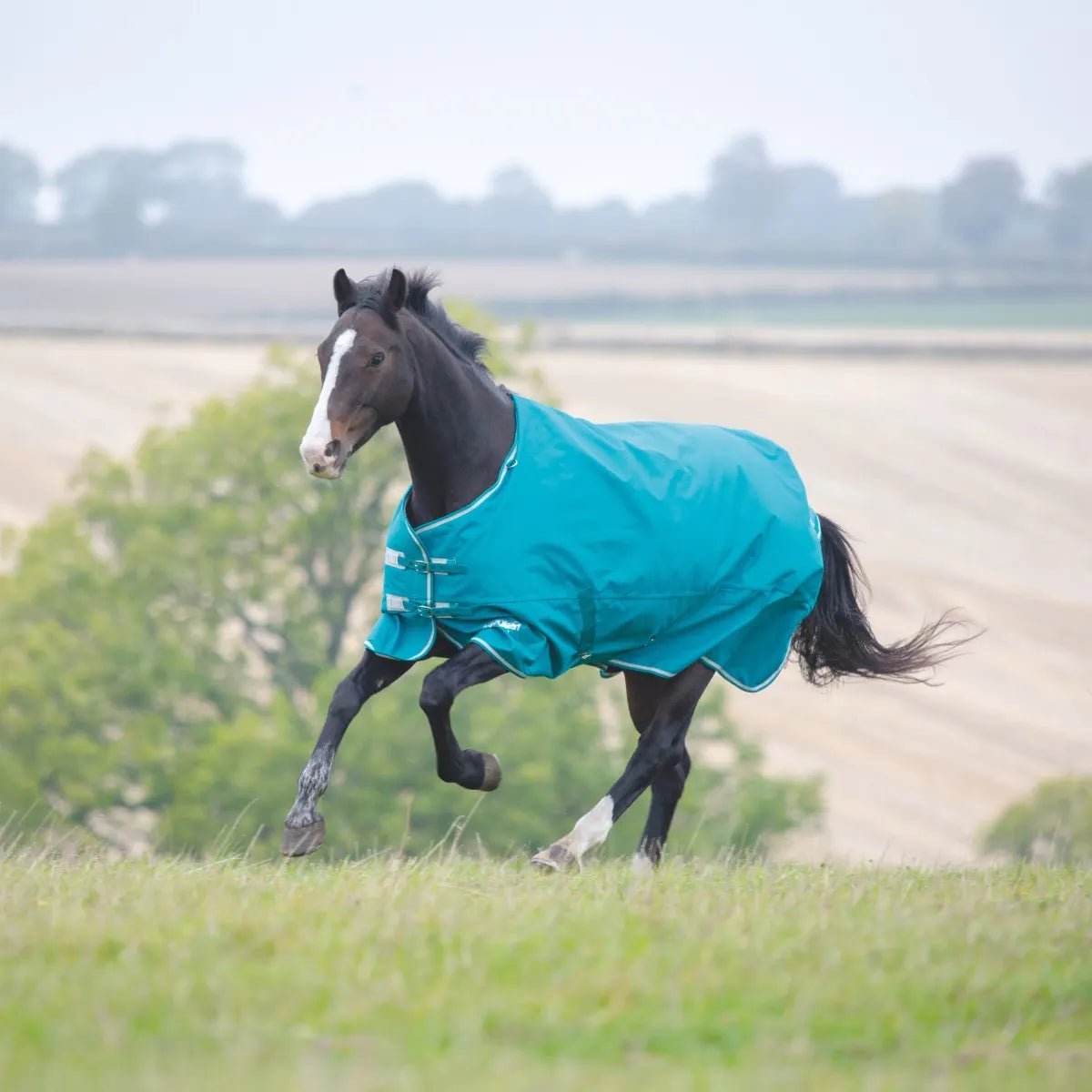 Tempest Plus 200 - The Tack Shoppe