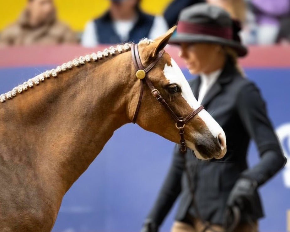 The Crowned Pony In - Hand Foal/Filly Slip - The Tack Shoppe