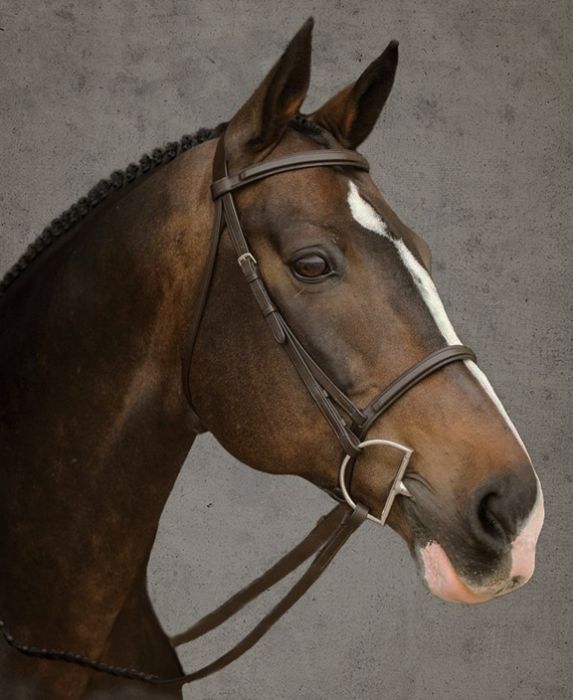 Bromont Raised and Padded Bridle