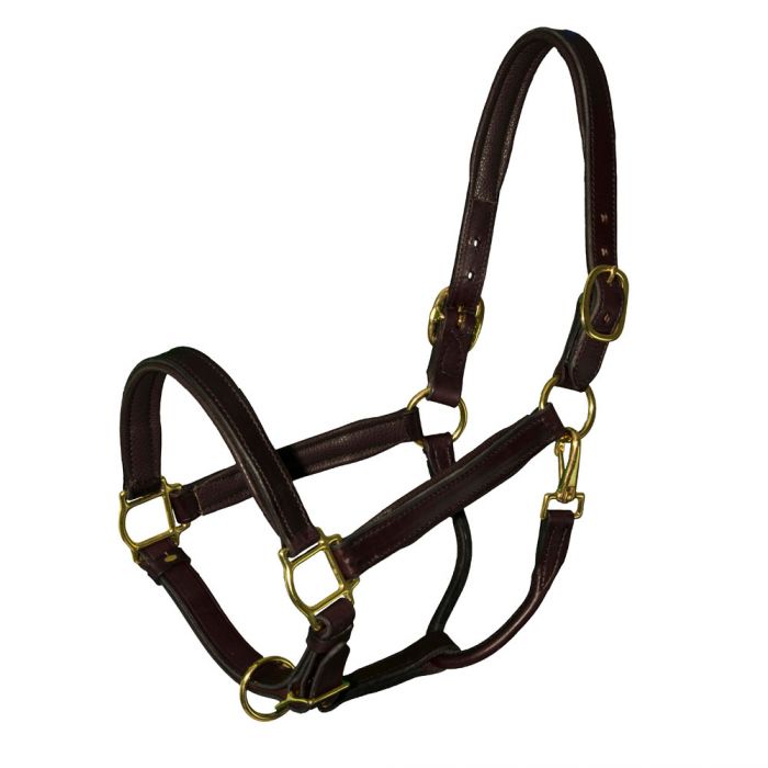 Bromont Deluxe Padded Leather Halter Foal/Pony/Yearling