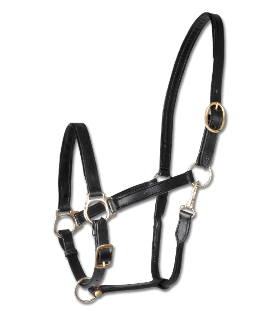 Waldhausen Star Leather Halter