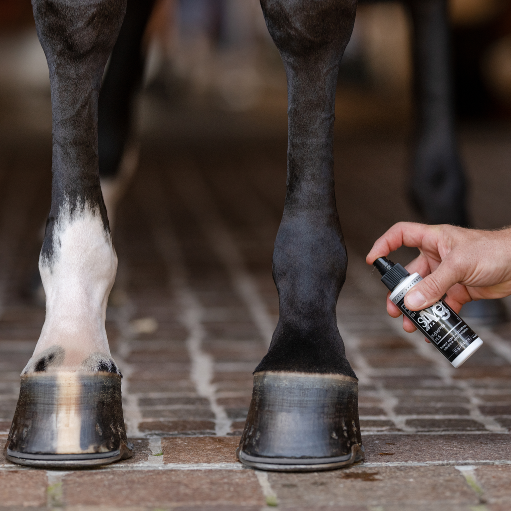 Equifit AGSILVER CleanSpray - 4oz