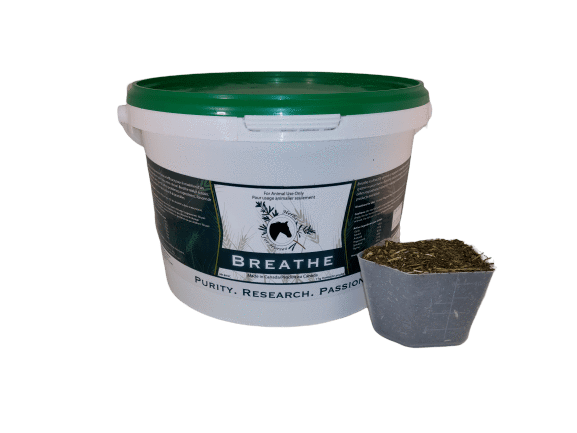 Herbs For Horses - Breathe