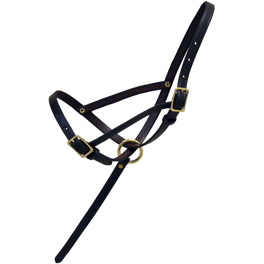 Leather Foal Slip with Grab Strap