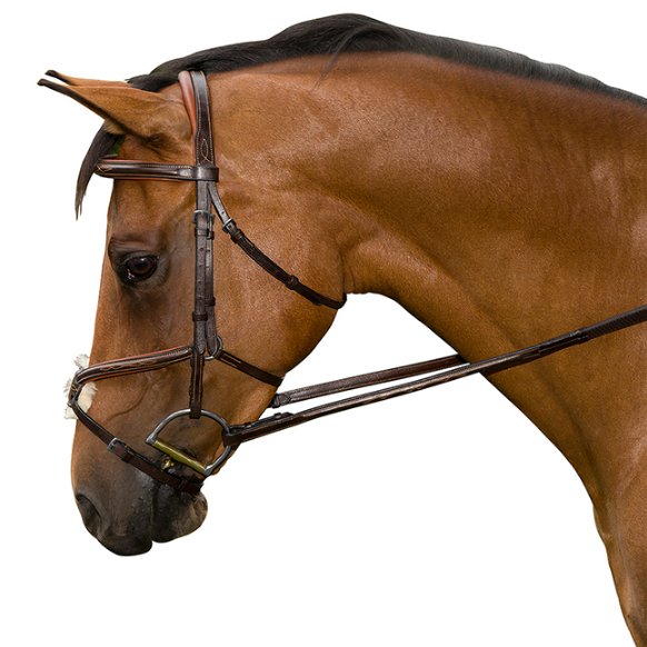 M. Toulouse Amelie Figure-8 Jumper/Eventing Bridle