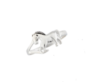 AWST Mini Horse Ring