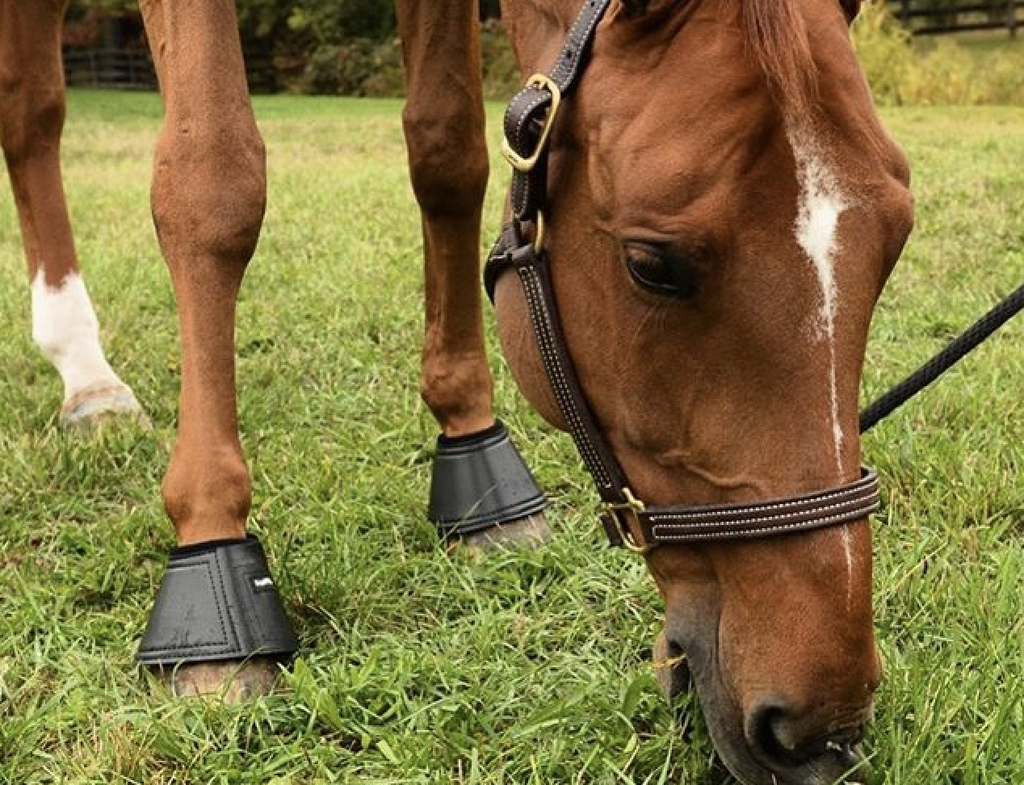 Equifit Essential Bell Boots with Fleece Rolled Top