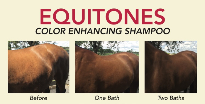 Shapley's EquiTone Shampoo 32 oz