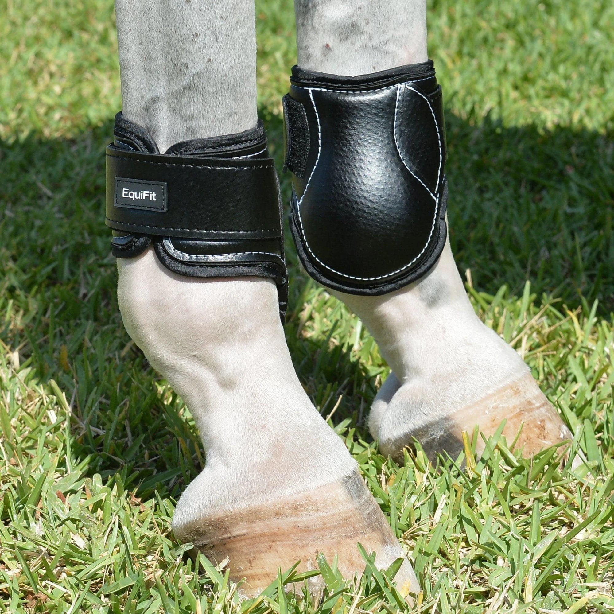 Hind boots horse discount
