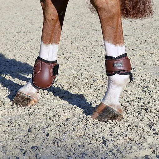 Hind boots horse cheap