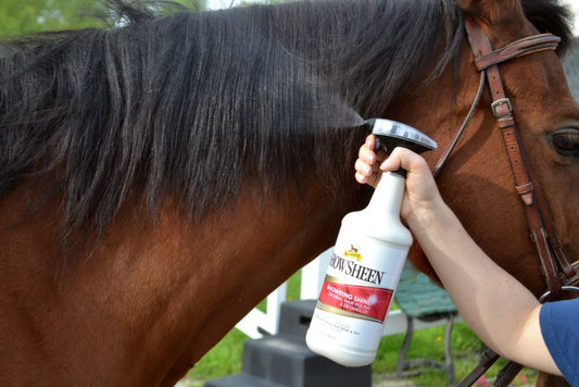 Absorbine Show Sheen - The Tack Shoppe