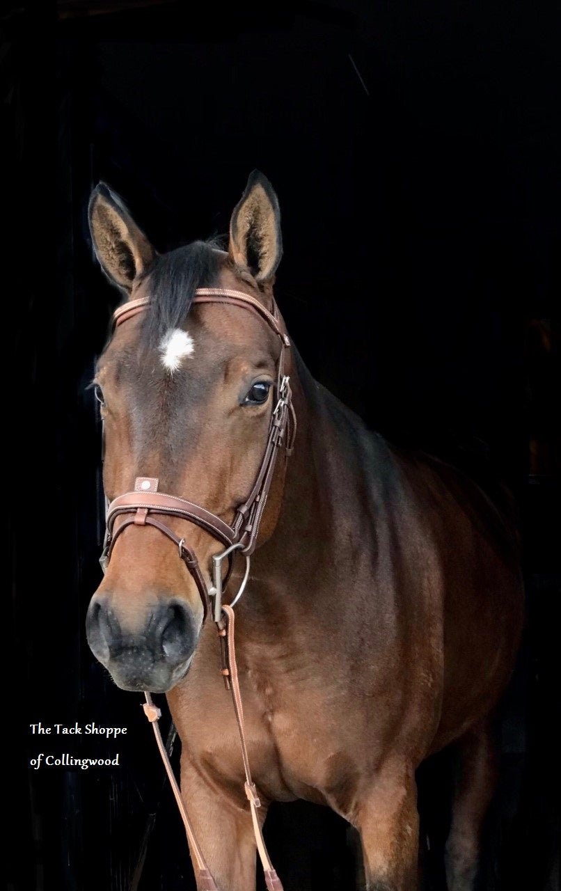 ANTARES COMPLETE REMOVABLE FLASH BRIDLE WITH FRENCH GRAINED LEATHER - The Tack Shoppe