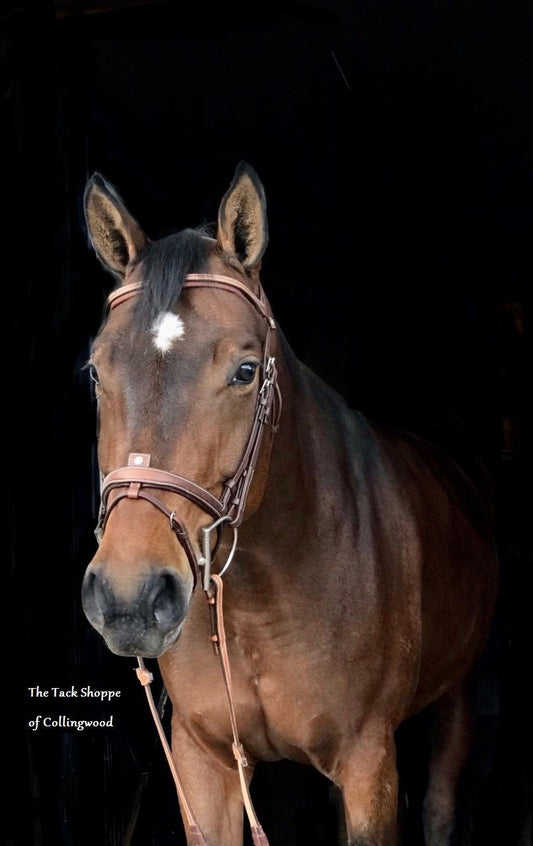 ANTARES COMPLETE REMOVABLE FLASH BRIDLE WITH FRENCH GRAINED LEATHER - The Tack Shoppe