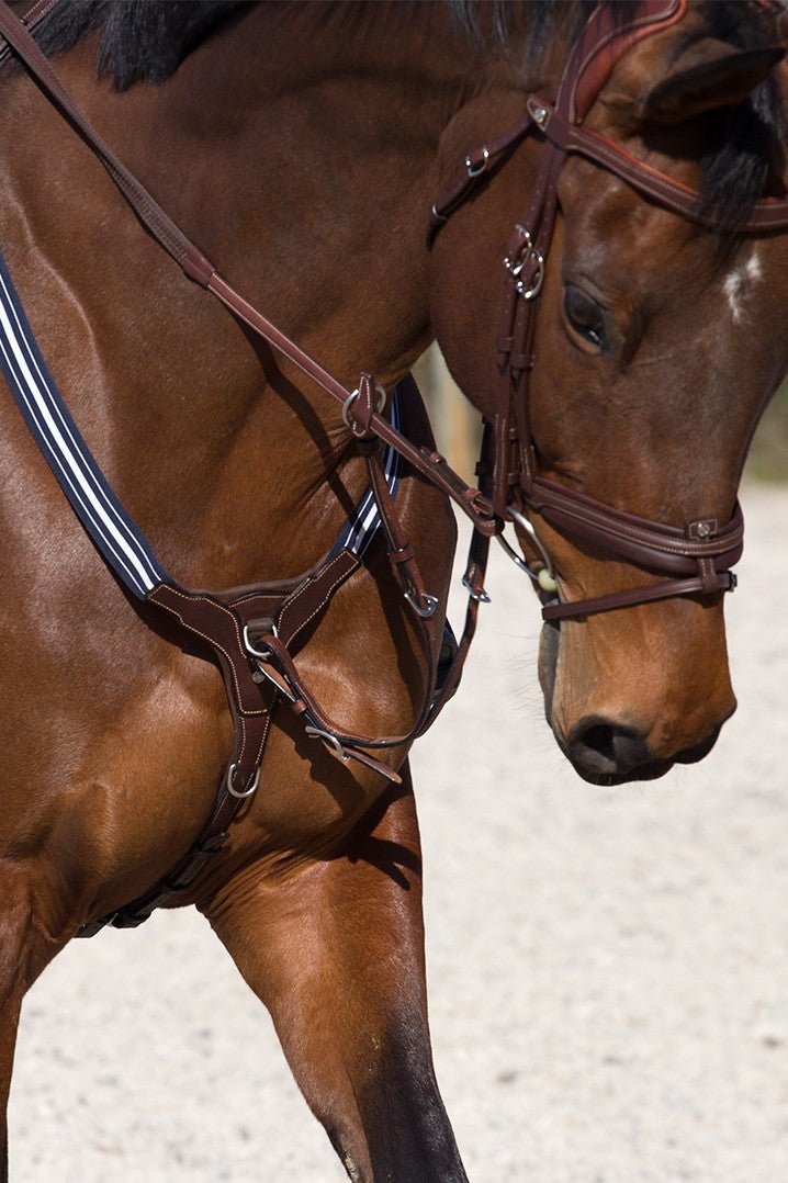 Antares Elastic Breastplate with Fork Attachment - Grained Leather - The Tack Shoppe