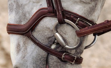 Antares Precision Y Noseband Bridle - Brown - The Tack Shoppe