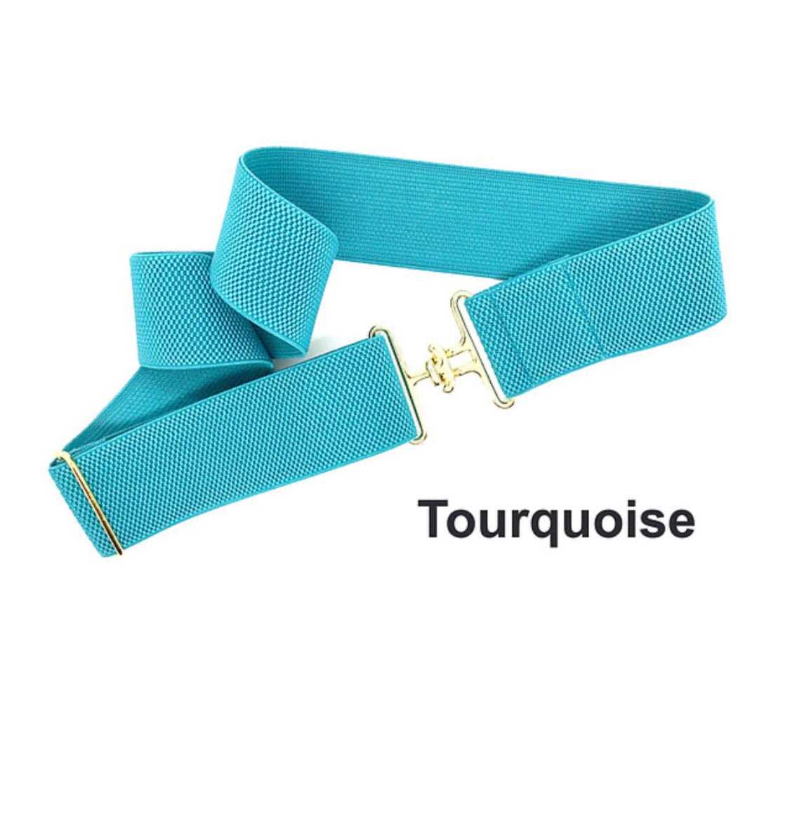 Bedford - Jones Belts - 2 Inch Solids Surcingle Collection - The Tack Shoppe