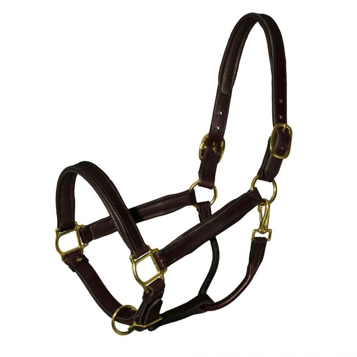 Bromont Deluxe Padded Leather Halter Foal/Pony/Yearling - The Tack Shoppe
