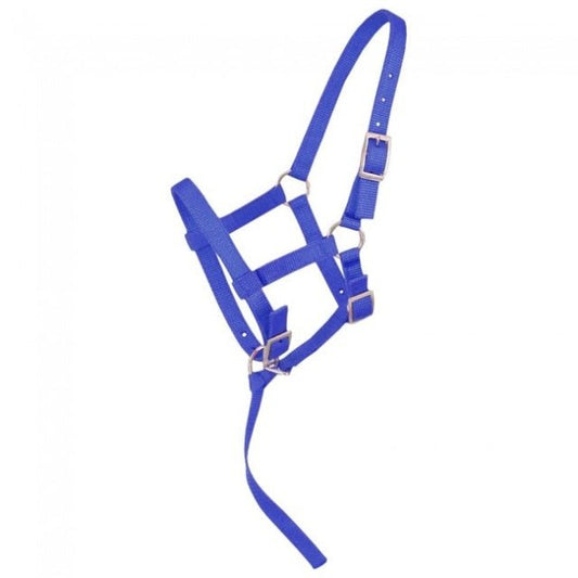 Canadian Mini Halter - The Tack Shoppe