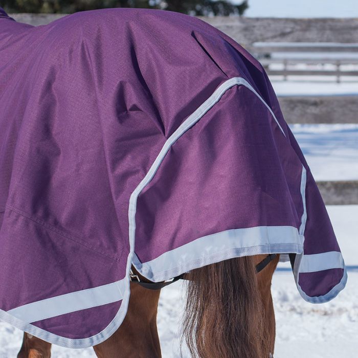 Canadian Horsewear Denali Rainsheet
