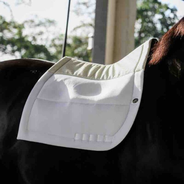 Ecogold Secure Dressage Saddle Pad - The Tack Shoppe