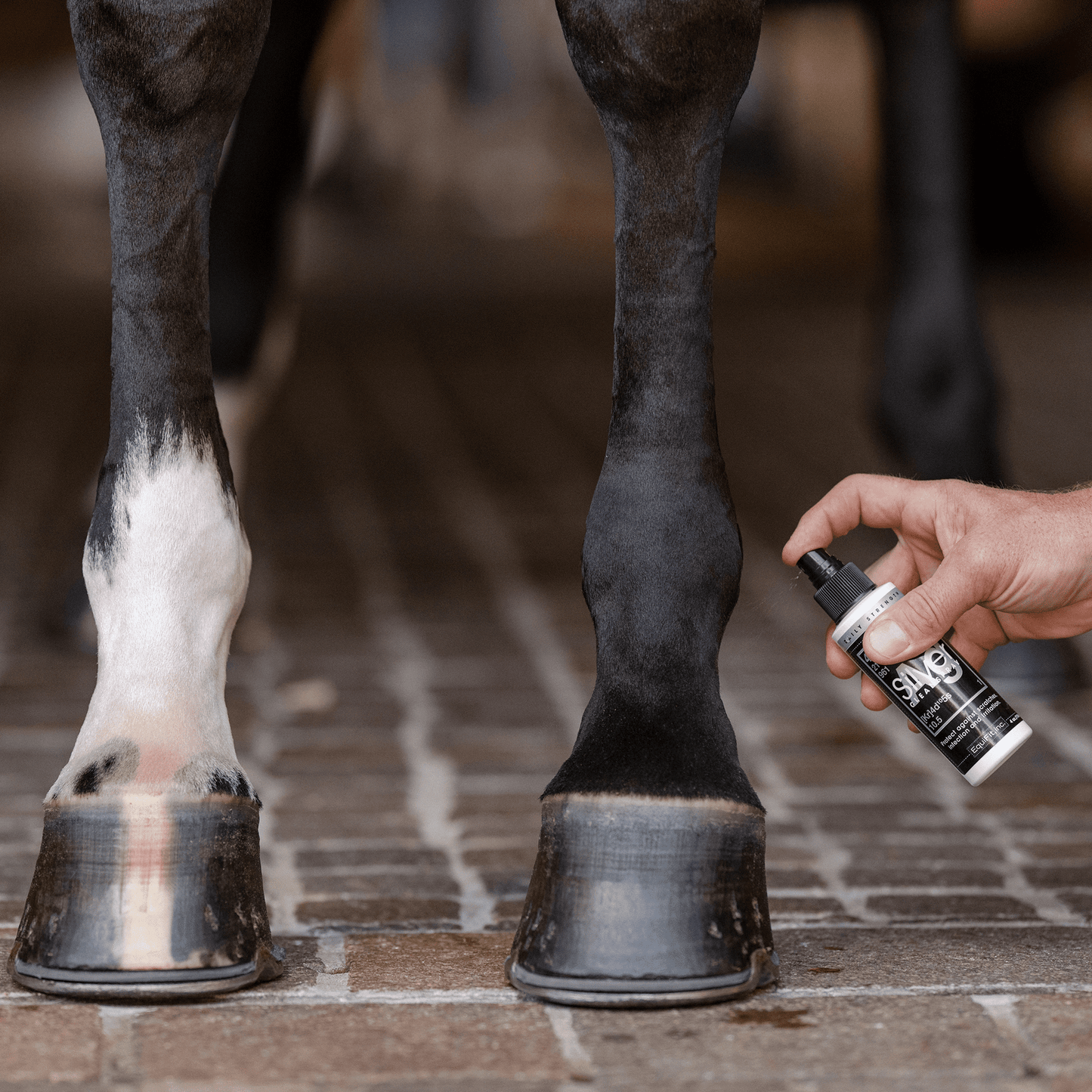 Equifit AGSILVER CleanSpray - 4oz - The Tack Shoppe